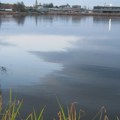 Bubanj: Jezero u srcu urbanog Kragujevca