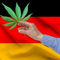 Nemačka legalizuje korišćenje marihuane: Punoletni građani moći će da je koriste, ali postoji jedna "caka"