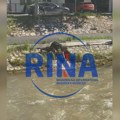 Krvava reka u Novom Pazaru: Jezivi prizori sa Raške, na lice mesta odmah stigla policija i veterinarska inspekcija