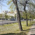 Vremenska prognoza za 14. maj: Maksimalna temperatura u Srbiji 21 stepen