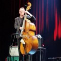 Nenad Vasilić: 25 godina muzike – veliki povratak kontrabasiste u rodni Niš