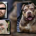 Pitbul od 50 kilograma kasapio čoveka 45 minuta, ubili ga sa 10 metaka: Horor napad konačno dobija sudski epilog! "Imao je…