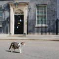 Ko je mačak Leri? Omiljeni „glavni lovac na miševe“ dočekao sedmog britanskog premijera