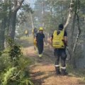 Vatra se tokom noći razbuktala na Stolovima, vatrogasci brane četinarsku šumu