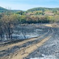 Požari na dva kraja Srbije: Vatrena stihija na Staroj planini i kod Čačka, vatrogasci na terenu