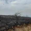 Aktivisti upozoravaju da je požar na Homoljskim planinama podmetnut