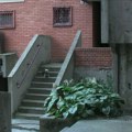 Светска премијера филма „Хистерични напад смеха“ аутора Душана Зорића и Матије Глушчевића на фестивалу у Локарну