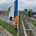 Neviđeno na auto putu kod Novog Sada! Odbegli bik izazvao haos u saobraćaju!