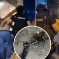Pogledajte kako je uhapšen ubica iz novog sada: Oglasio se MUP: Krio se u stanu kod saučesnika, policija pronašla nož kojim je…