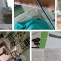 Danas je Svetski dan srca Od petka tribine o srcu Slušajte savete kardiologa da ne biste završili ovako (foto)