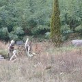 Oni koji su prodali Kosovo marširaju ulicama i dozvoljavaju da sve propada