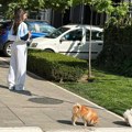 Anđela Đuričić napustila Gastozov stan, spakovala kofere dok se on provodi u Crnoj Gori (foto)