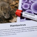 Direktorka “Batuta“: Nema opasnosti od pandemije hantavirusa, naše zdravstvo spremno da reaguje