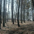 Drugi dan, vatra i dalje gori u ataru sela Osmakovo, požar na oko 300 hektara. Nema ljudskih žrtava, izgorelo nekoliko objekata…