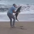 Море избацило бебу делфина на плажу Јаз, Будванин га спасио