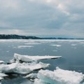 Polarni medvedi u opasnosti zbog topljenja leda na Arktiku