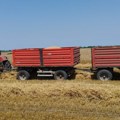 Poljoprivreda i Srbija: „Ne smem ni da pomislim na novu sezonu, situacija je lošija nego što se čini" Pšenica u brojevima