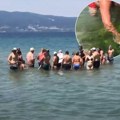 Turisti iz Srbije postali hit u Grčkoj Prvo je u vodi nastao šok, a onda je usledio potez koji je sve oduševio (video)