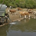 Vojska Srbije pomaže u napajanju stoke na Suvoj planini: Dopremaju vodu za oko 1.000 ugroženih konja i krava