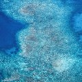 Planeta na izdisaju Prošli smo prelomnu tačku - počelo je masovno propadanje, ugrožene stotine miliona ljudi
