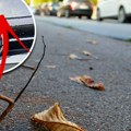 Bizaran slučaj u Somboru: Gordani plodovi kestena uništili auto, štetu plaća grad i evo koliko će novca dobiti