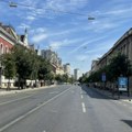 Umesto zemlje – nova podloga oko stabala u Zemunu: Kako funkcioniše sistem koji se ugrađuje oko drveća