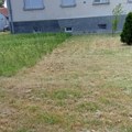 Пола травњака-цела прича или Баш ме брига, није моје него комшије са којим не говорим