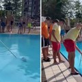 Drama na bazenu u Beogradu, svi posetioci napustili vodu: "Svi izašli kao da je krokodil" (Video)