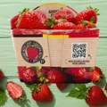 Belgija: Delhaize predstavlja kartonsku ambalažu za jagode