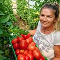 Dragica ima najlepše imanje u zapadnoj Srbiji: Napravila seoski raj u dedovini, sa decom brine o stoci i bašti, a sada sprema…