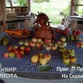 Radonica o agrobiodiverzitetu i pravu na seme u Prokuplju