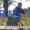 Sve spremno za još jednu Oplenačku berbu u Topoli: Manifestacija živi duže od šest decenija i slavi grožđe, vinograde i…