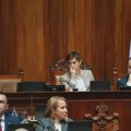 Brnabić: Ne sprovodimo funkcionersku kampanju, stranačke aktivnosti imamo van radnog vremena