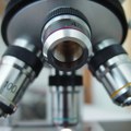 Naučnici razvili sintetičke ljudske embrione
