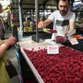 Cena srpske maline je ove sezone totalna glavobolja i apsurd