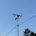 Planirana isključenja električne energije za 05. oktobar: Sremska Mitrovica, Šašinci, Sremska Rača i Bosut