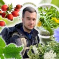 Travar Marko Stevanović: Ove biljke rastu svuda oko nas u Beogradu, a niste ni svesni koliko su lekovite