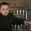 "Želeo sam da to uradim sam": Mateja (12) iz Vršca je najmlađi uzgajivač živine u Srbiji: Sa samo 8 godina je pokrenuo…