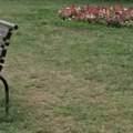 Nakon pisanja Stava iz Komunalaca tvrde da se park kod stadiona čisti svaki dan (video)