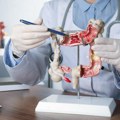 Sedam naučno dokazanih načina za prevenciju raka debelog creva: Otkrivamo istinu koju bi lekari želeli da znate