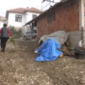 Život žena na selu – rad od jutra do mraka, često bez plate i zdravstvene zaštite