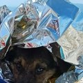 Herojski potez planinara u Bosni: Našli je na 2.000 metara visine, pa je šest sati nosili u rancu i spasili! (foto)