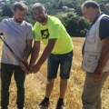 Stručna podrška za veću mlečnost i isplativiju stočarsku proizvodnju u Kragujevcu