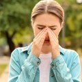 Ova mesta su na udaru: Javite se lekaru, prisutna velika koncentracija alergena