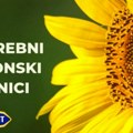 Dijamant traži sezonske radnike tokom sezone otkupa suncokreta