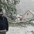 Vanredna situacija u tri opštine u Srbiji! Sneg napravio totalni kolaps, nema struje, škole ne rade, drveće popadalo, delovi…