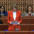 Delegacija Skupštine Srbije u PSE osudila govor mržnje prema političarima