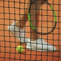 Hamad Međedović posle tri sata borbe i preokreta izborio osminu finala Mastersa u Rimu