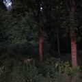 U službi obračuna sa neprijateljem: mit o Gnjilanskoj grupi