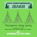 JKP Šumadija i Spomen-park ‘Kragujevački oktobar’ pokreću akciju ‘Park novogodišnjih jelki’ u Kragujevcu